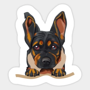 dog in pocket funny puppy for dog lover Rottweiler Sticker